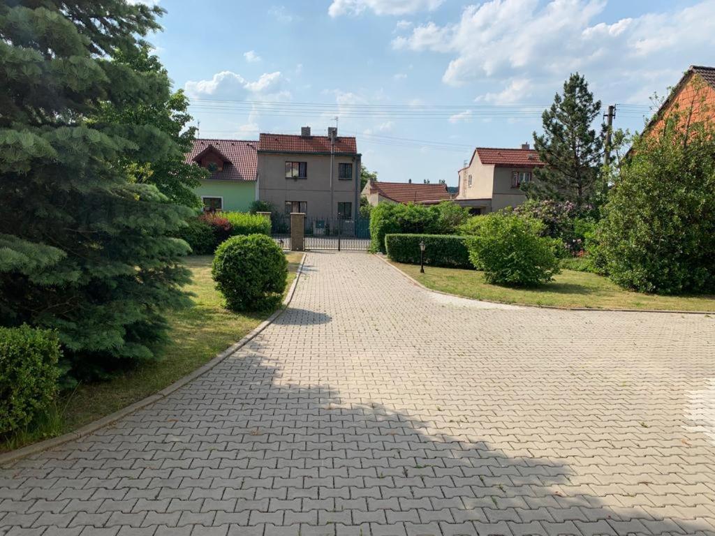 Dogs Resort And Spa Horni Bezdekov Экстерьер фото